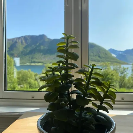 Charming With Seaview In Senja