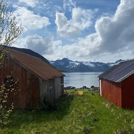 Dom wakacyjny Charming With Seaview In Senja Enga