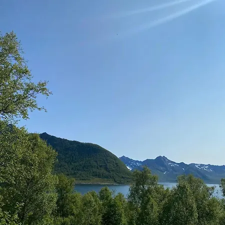 Charming With Seaview In Senja Enga